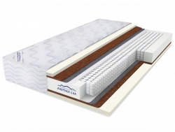 Матрас Bio Memory cocos TFK 200х200